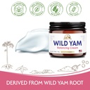 angelycia-organic-wild-yam-cream-for-hor-2.jpg