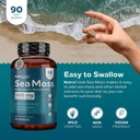 sea-moss-irish-sea-moss-capsules-with-bl-4.jpg