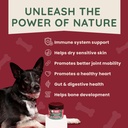premium-dog-multivitamin-supplement-170--4.jpg