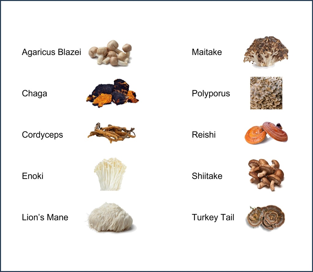 mushroom-extract-powder-powerful-10-blen-4.jpg