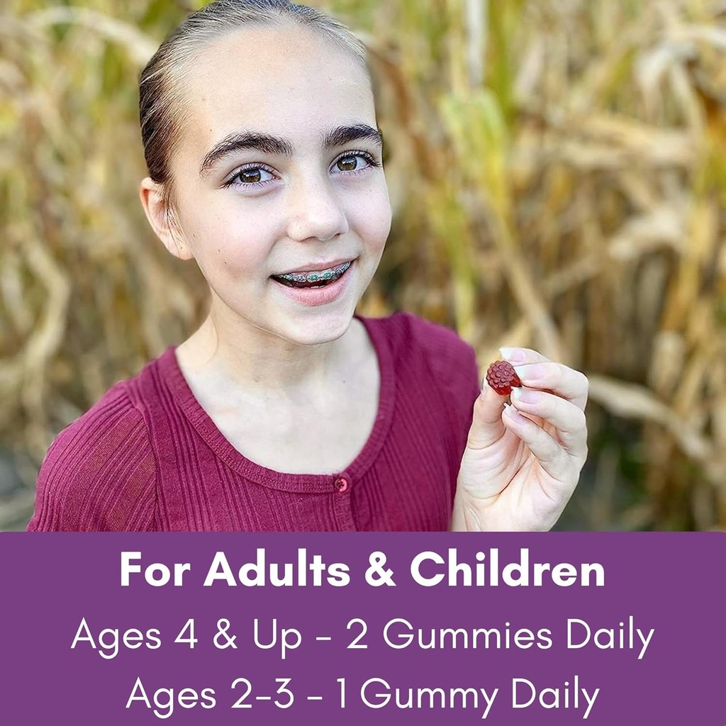 elderlane-elderberry-gummies-for-adults--5.jpg