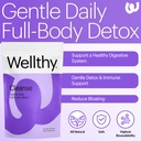 wellthy-full-body-detox-and-immune-suppo-2.jpg