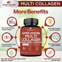 wholesome-wellness-super-absorb-multi-co-4.jpg
