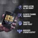 alpha-lion-core-pre-workout-w-creatine-f-2.jpg