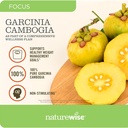 naturewise-1-garcinia-cambogia-60-hca-ve-4.jpg