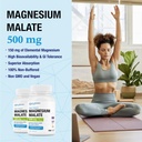puregen-labs-magnesium-malate-500mg-high-4.jpg