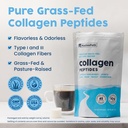 nativepath-collagen-peptides-protein-hyd-3.jpg