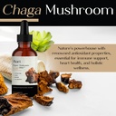 auri-super-chaga-elixir---mushroom-super-3.jpg