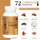 vita-green-lingzhi-mushroom-supplement-p-5.jpg