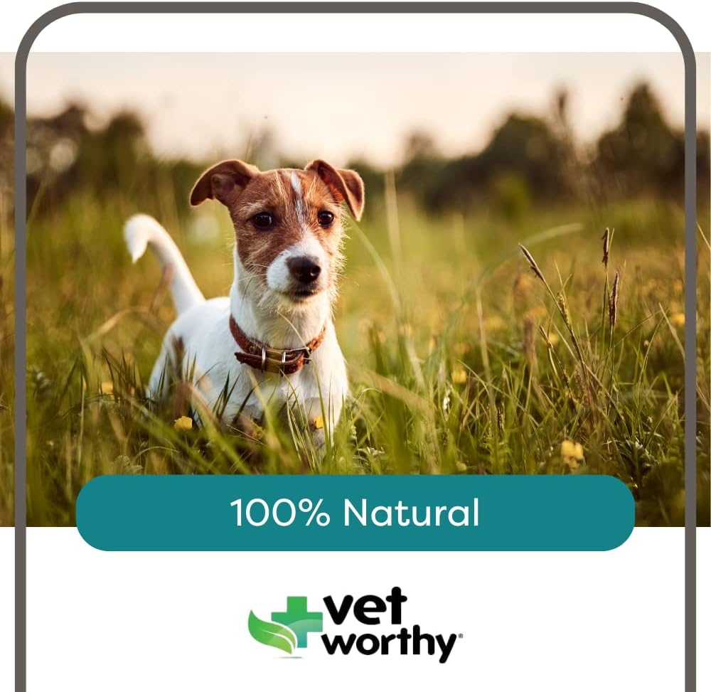 vet-worthy-potty-rocks-for-dogs---parama-4.jpg