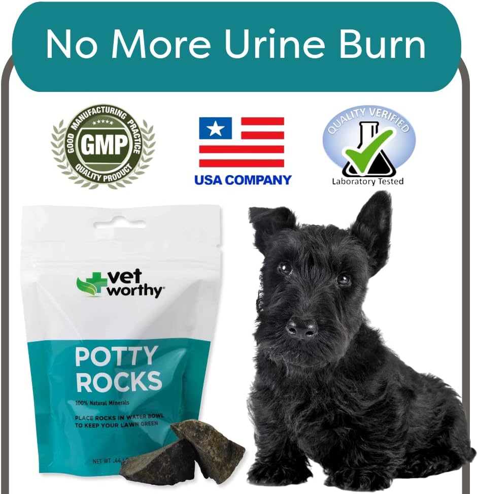 vet-worthy-potty-rocks-for-dogs---parama-6.jpg