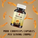 cordyceps-capsules-mushroom-extract-supp-2.jpg