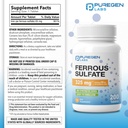 puregen-labs-ferrous-sulfate-325-mg-65-m-2.jpg