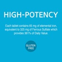 21st-century-slow-release-iron-supplemen-6.jpg