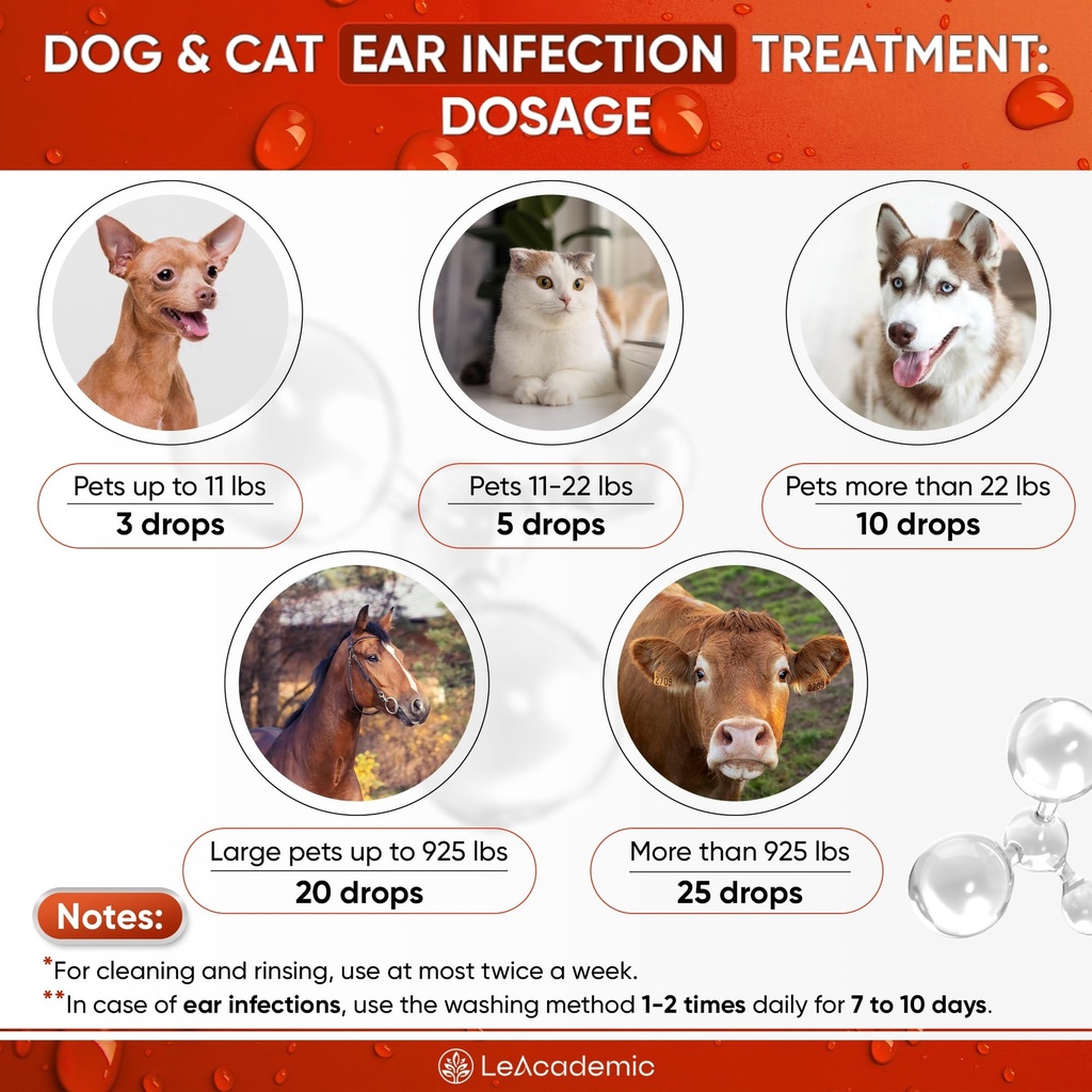 dog-ear-infection-treatment-otic-ear-inf-5.jpg