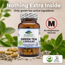 pure-mountain-botanicals-green-tea-extra-3.jpg