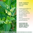 megafood-ashwagandha-complex-formerly-st-5.jpg