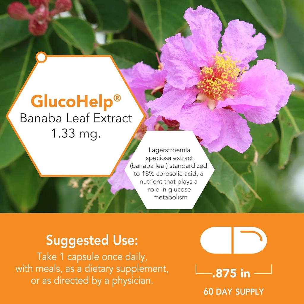 botanic-choice-gluco-help-banaba-leaf-ex-3.jpg