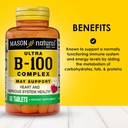 mason-natural-ultra-b100-complex-300day--2.jpg