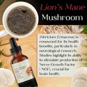 auri-lions-mane-liquid-elixir---brain-su-5.jpg