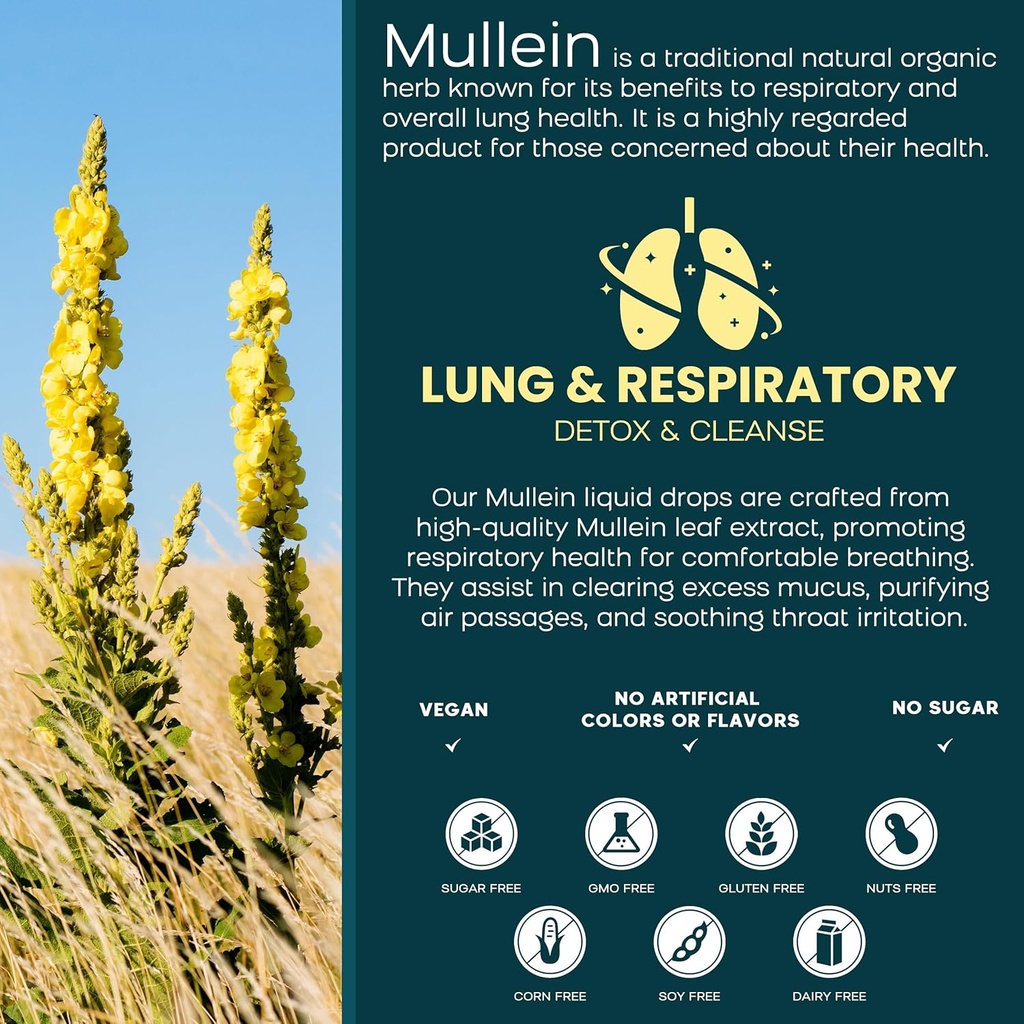 2-pack-6-in-1-mullein-drops-for-lungs-or-3.jpg