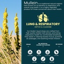 2-pack-6-in-1-mullein-drops-for-lungs-or-3.jpg