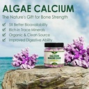 plant-based-calcium-supplement-vitamin-b-4.jpg