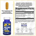 natural-stacks-ginkgo-biloba-neurolife-s-5.jpg