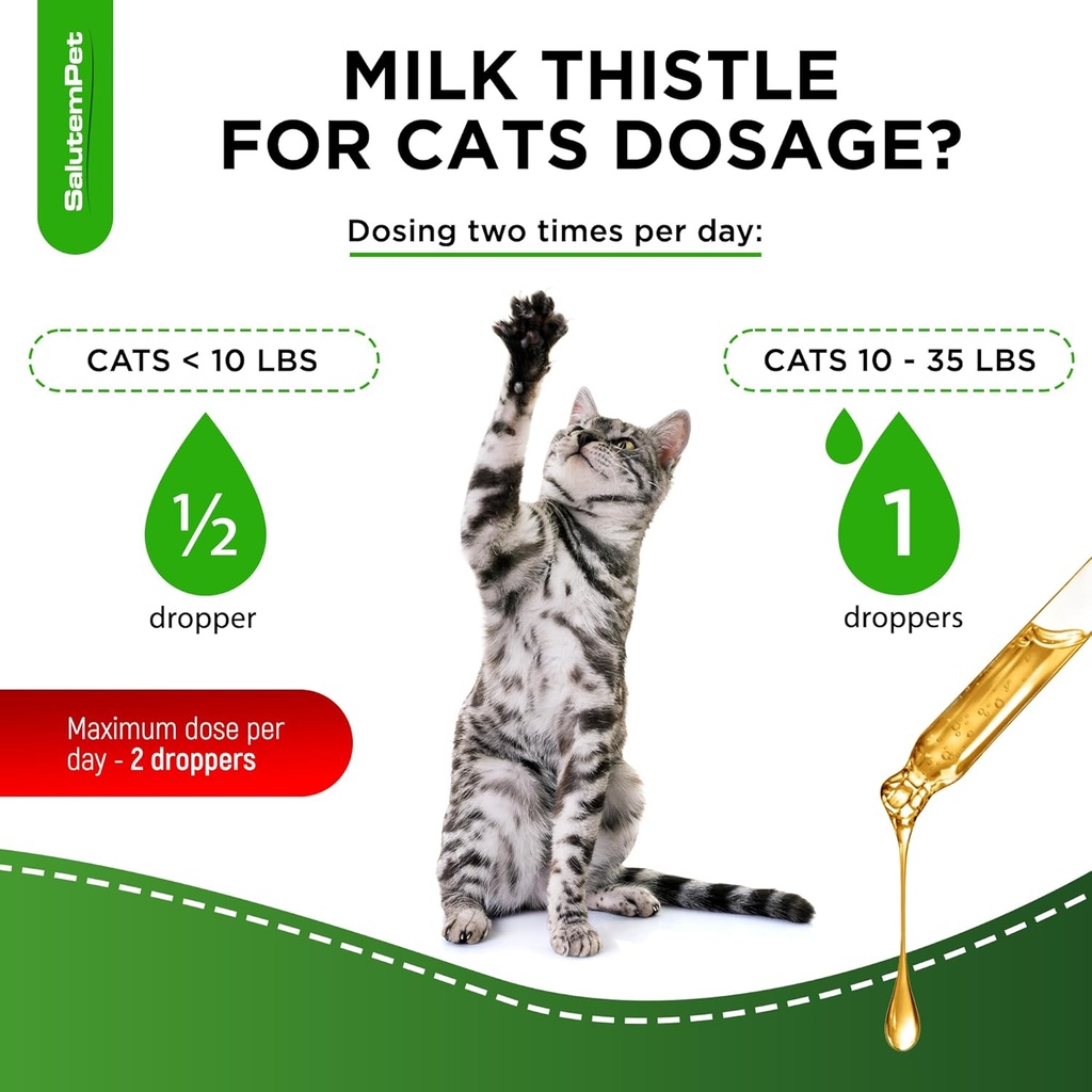 сat-kidney-support-milk-thistle-for-cats-5.jpg