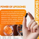 ingreens-turmeric-supplement-2275mg-95-c-4.jpg