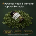 naturebell-olive-leaf-extract-240-capsul-2.jpg