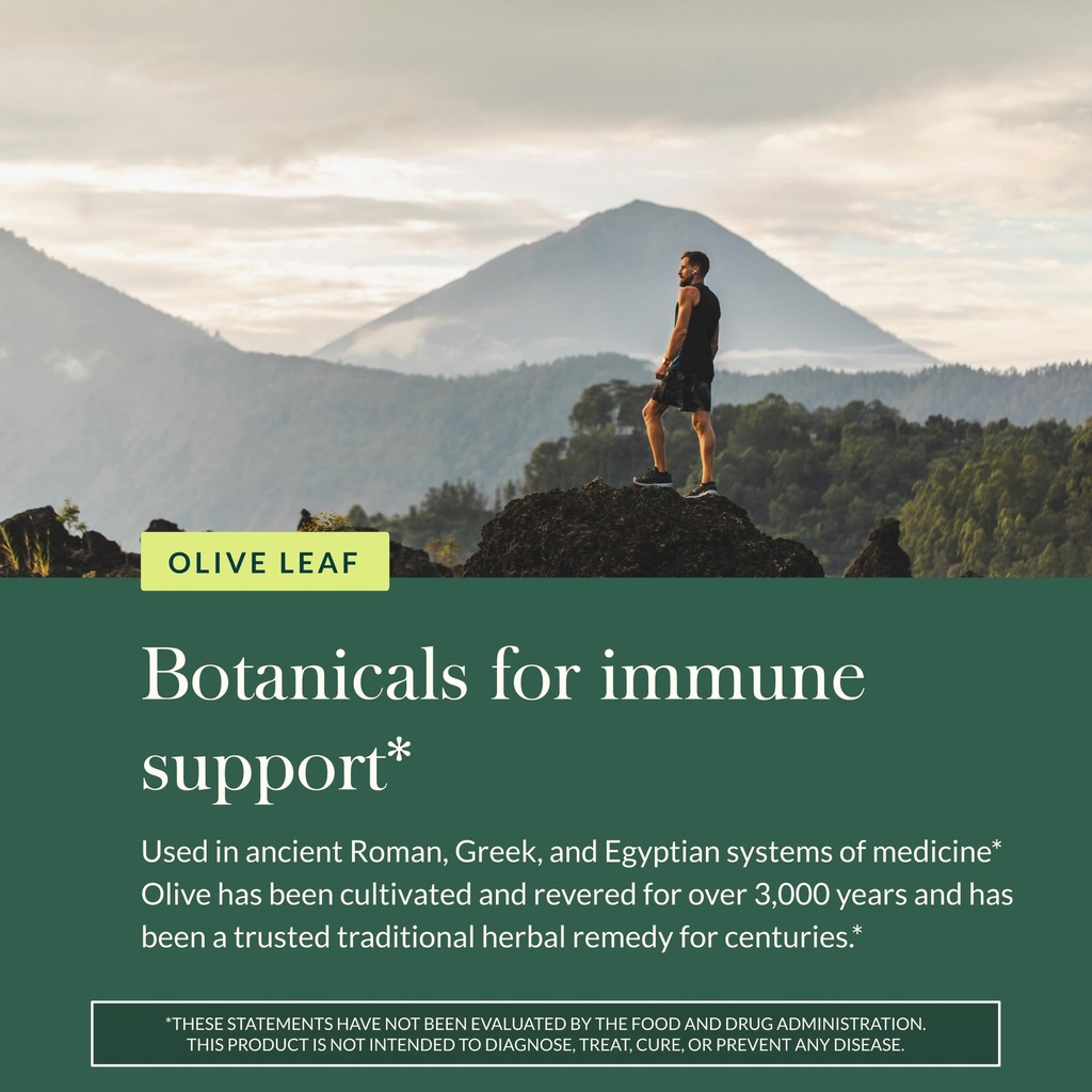 gaia-herbs-olive-leaf-traditional-immune-5.jpg