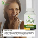 naravis-olive-leaf-extract-50-oleuropein-4.jpg