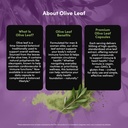 vital-peak-olive-leaf-peak-500-mg-immune-6.jpg