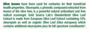 organic-olive-leaf-extract-capsules-pure-6.jpg
