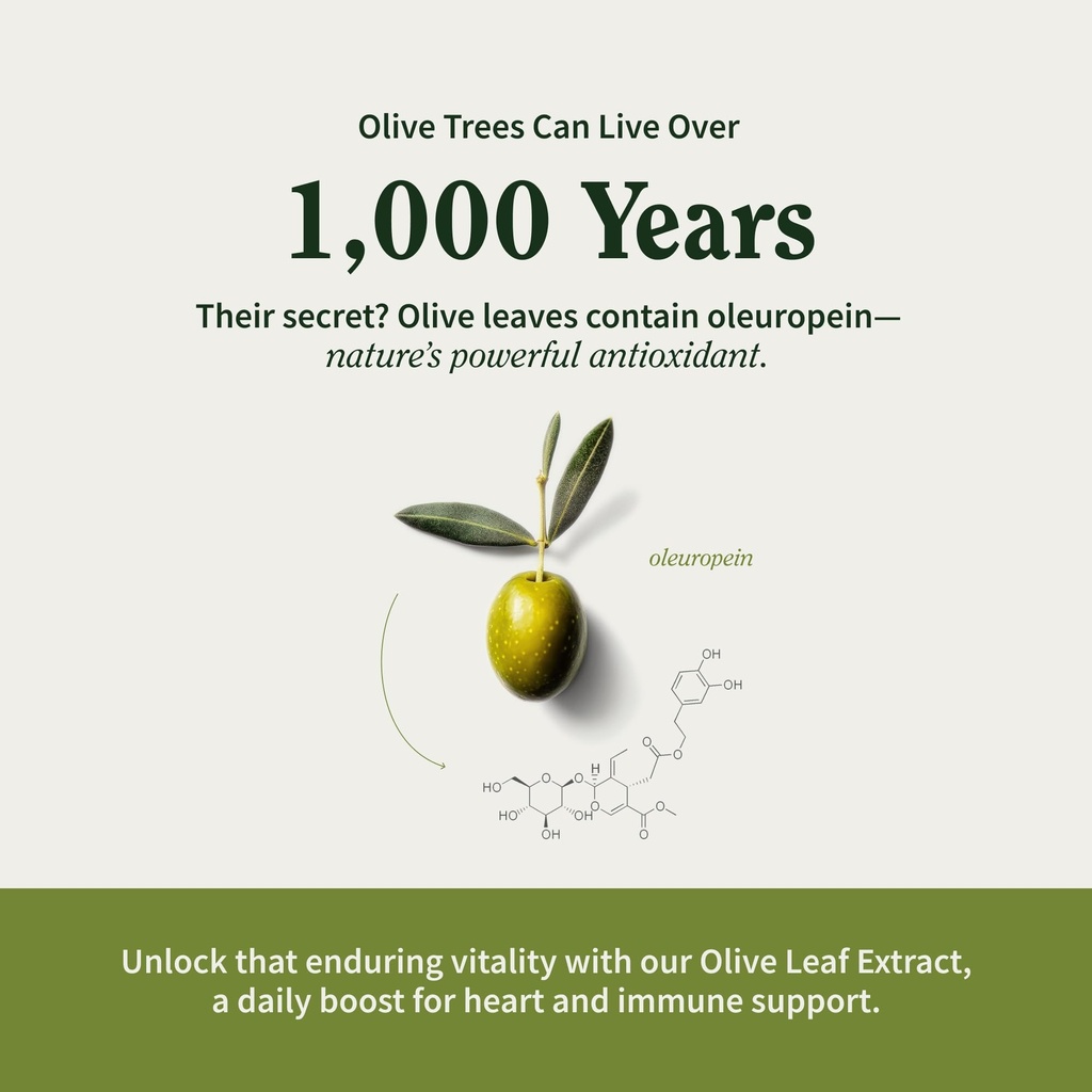 snap-supplements-olive-leaf-extract-caps-5.jpg
