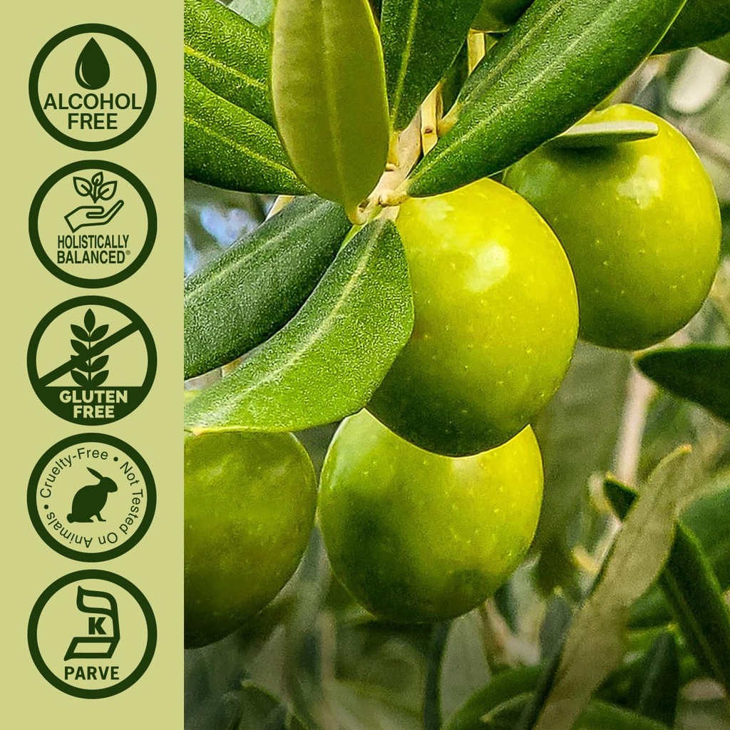 nature-s-answer-olive-leaf-extract-alcoh-5.jpg