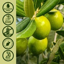 nature-s-answer-olive-leaf-extract-alcoh-5.jpg