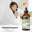 bio-krauter-olive-leaf-extract-for-immun-2.jpg