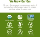 om-mushroom-superfood-reishi-organic-mus-6.jpg