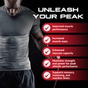granite-creatine-monohydrate-supports-st-5.jpg