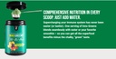 inno-greens-28-organic-greens-superfoods-4.jpg