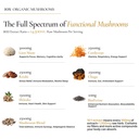 neuroroot-organic-mushroom-supplement-li-4.jpg