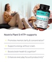 nootrix-smart-mushrooms-complex-suppleme-3.jpg