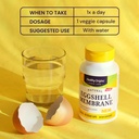 healthy-origins-nem-eggshell-membrane-50-6.jpg