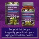 resvitale-beauty-3-skin-care-supplement--6.jpg