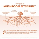 host-defense-cordyceps-capsules-immune-e-4.jpg