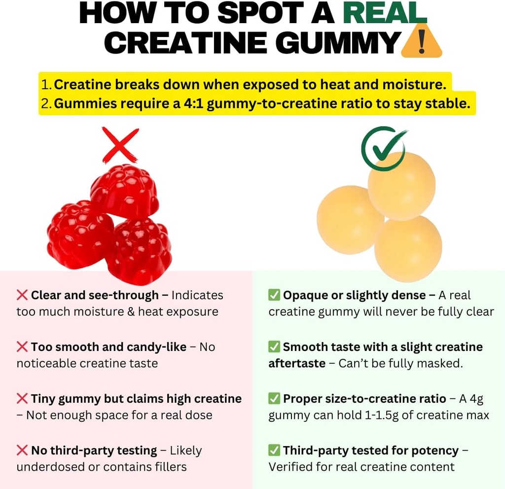creatine-monohydrate-gummies-for-men-wom-5.jpg