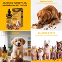 turkey-tail-mushroom-for-dogs-for-yeast--6.jpg