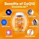 neviss-sugar-free-coq10-250mg-500mg-fill-2.jpg